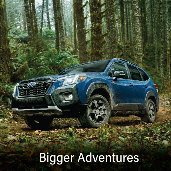 A blue Subaru outback wilderness with the words &ldquo;Bigger Adventures&ldquo;. | Wallace Subaru - Johnson City in Johnson City TN