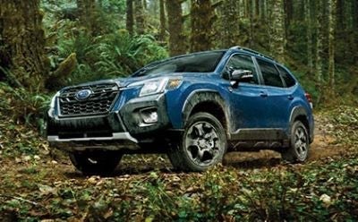 Subaru