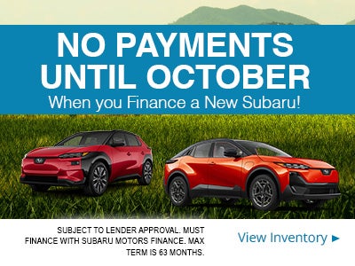 No Payments
