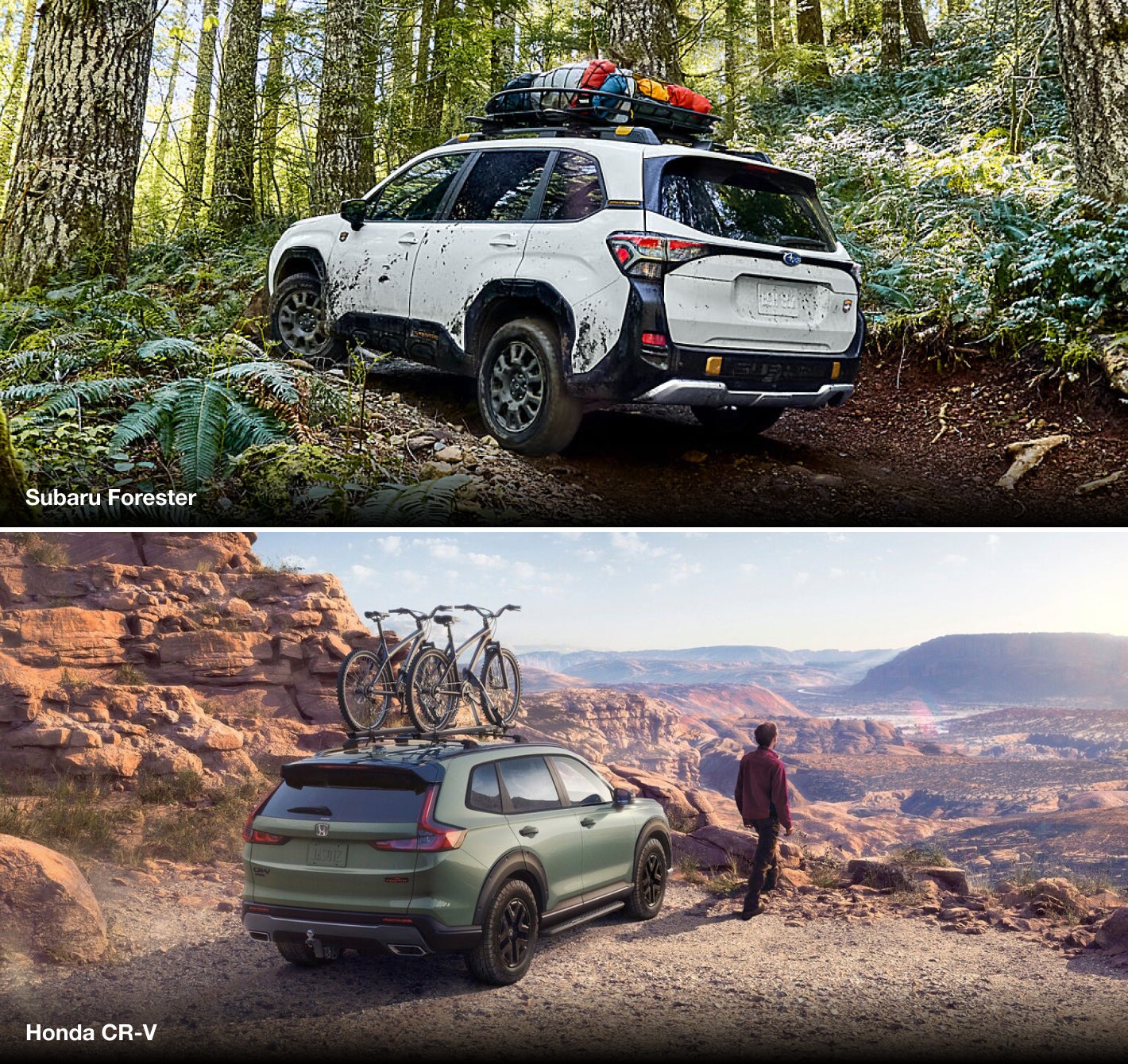 Forester Hybrid vs. CR-V Hybrid: Ground Clearance & AWD