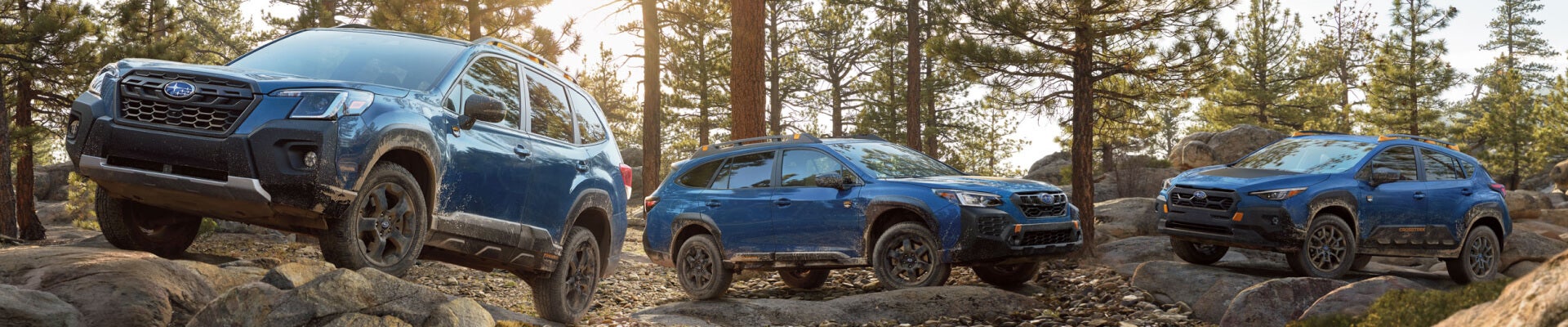 Research Subaru Models and Comparisons