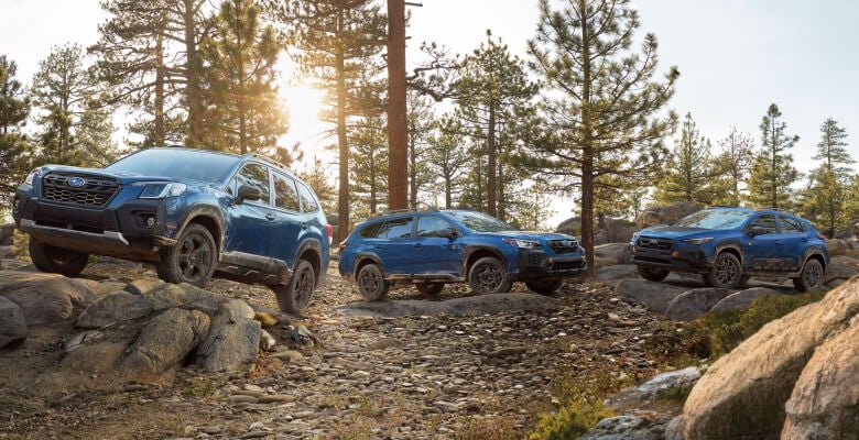 Research Subaru Models and Comparisons