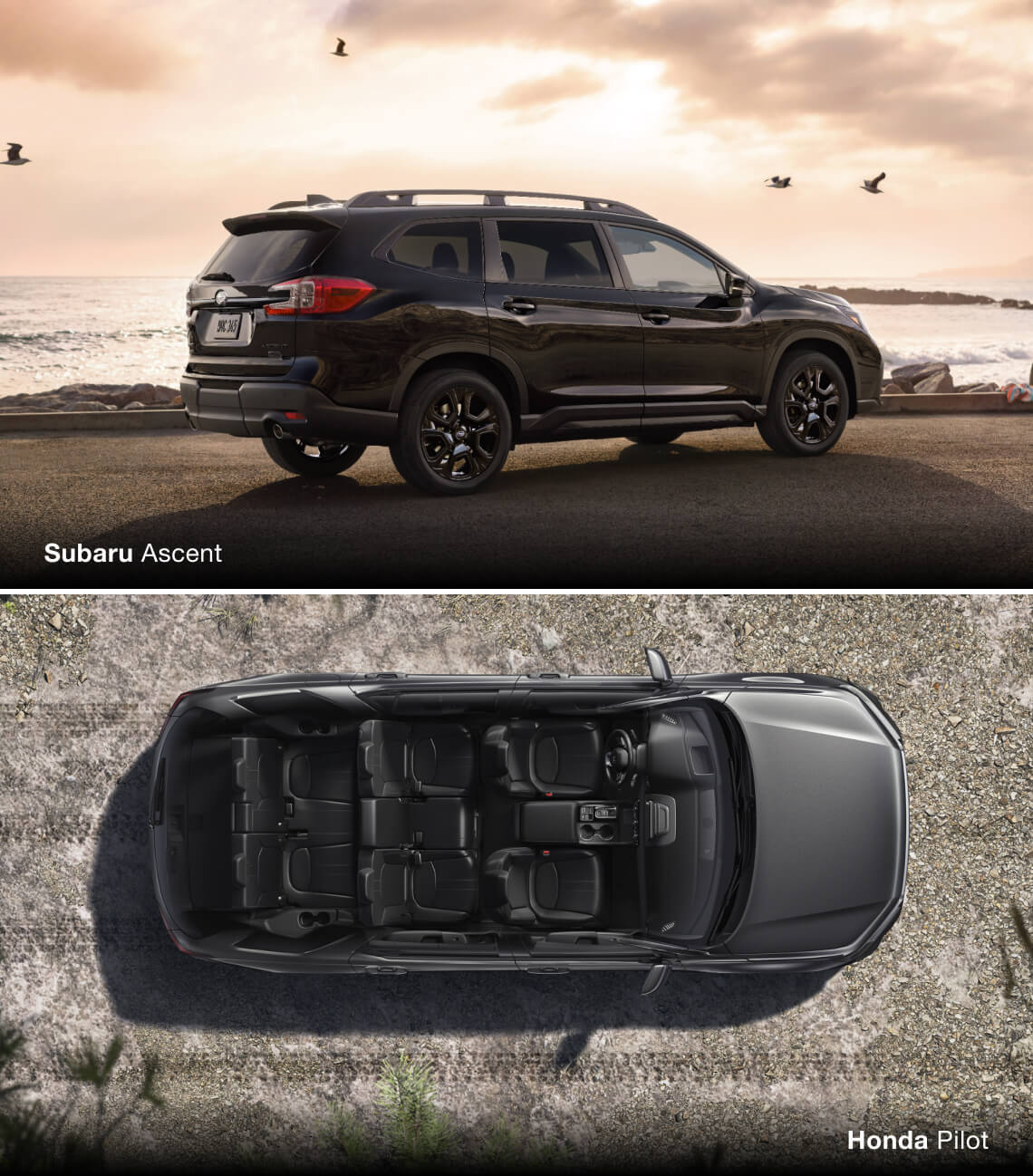 Subaru Ascent vs. Honda Pilot Size