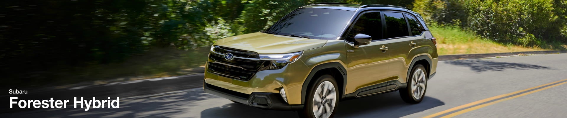 Green Subaru Forester driving on a tree-lined road.
