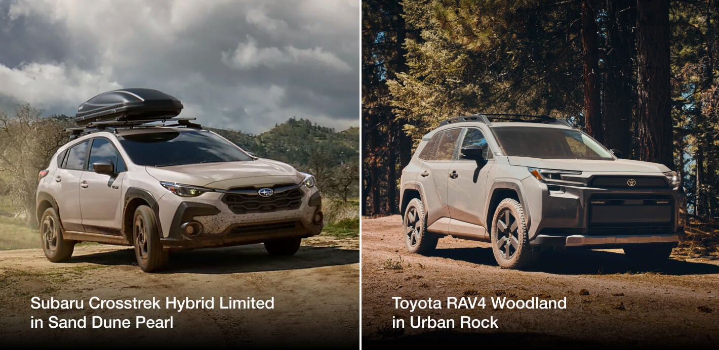 Which Terrain-Conquerer Is Right for You?